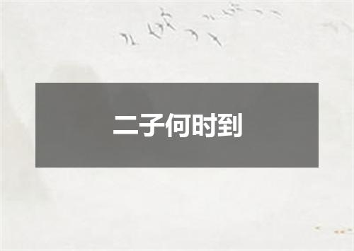 二子何时到