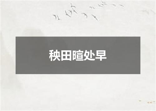 秧田暄处早