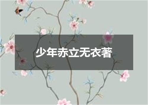 少年赤立无衣著
