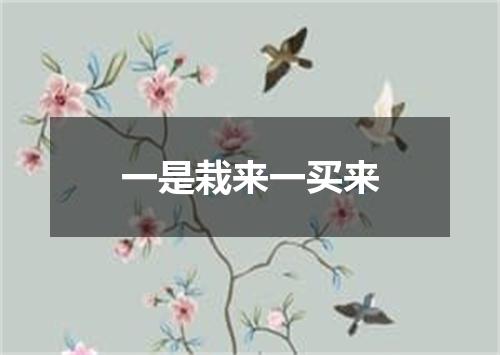 一是栽来一买来