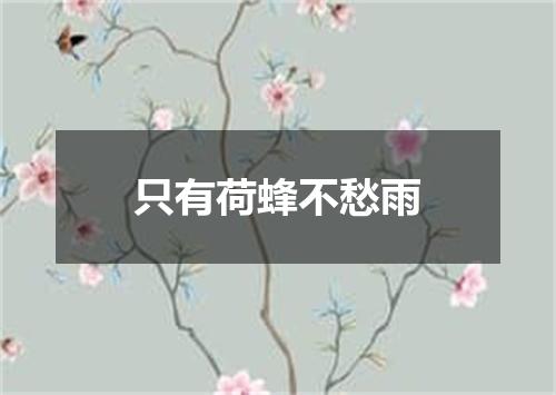 只有荷蜂不愁雨