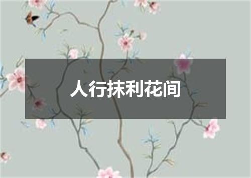 人行抹利花间