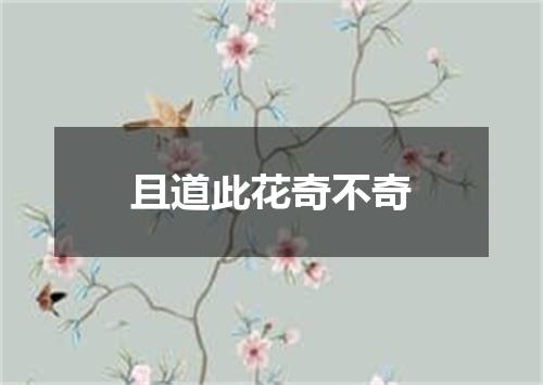 且道此花奇不奇