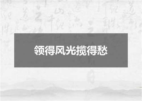 领得风光揽得愁