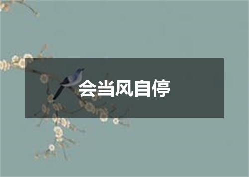 会当风自停