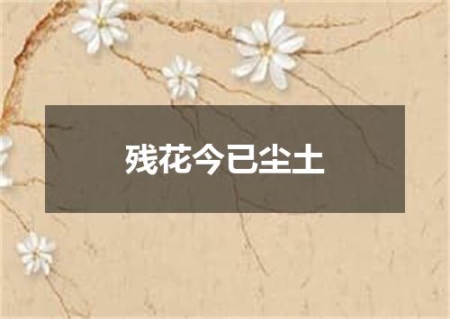 残花今已尘土