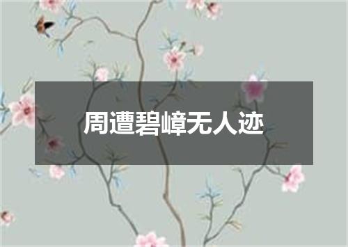 周遭碧嶂无人迹