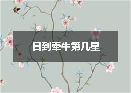 日到牵牛第几星