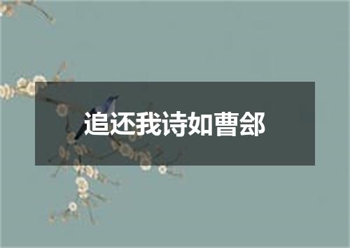 追还我诗如曹郐