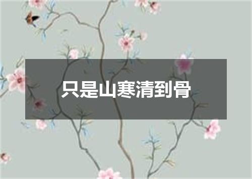 只是山寒清到骨
