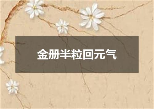 金册半粒回元气