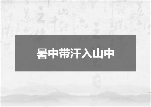 暑中带汗入山中