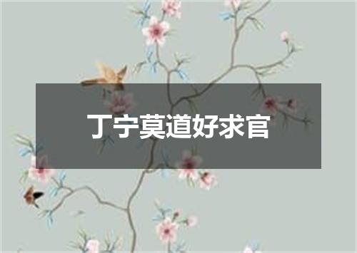 丁宁莫道好求官