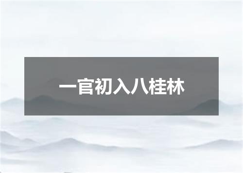 一官初入八桂林