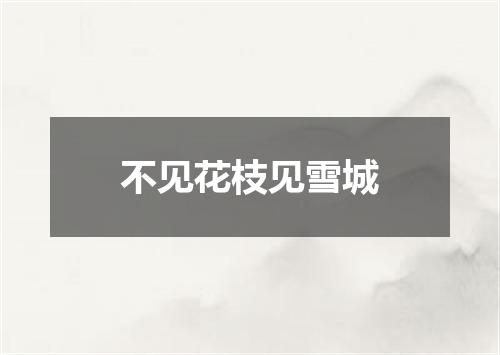 不见花枝见雪城