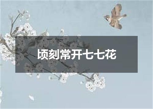 顷刻常开七七花