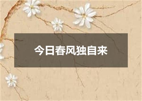 今日春风独自来