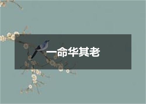 一命华其老