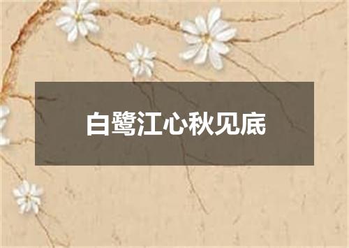 白鹭江心秋见底