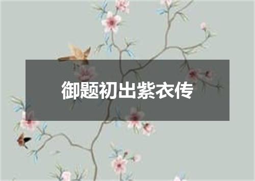 御题初出紫衣传