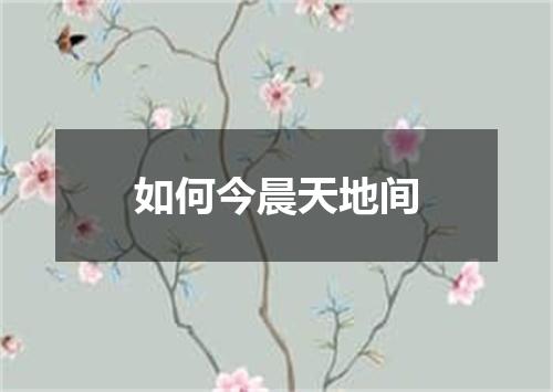 如何今晨天地间