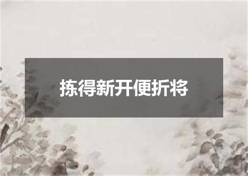 拣得新开便折将