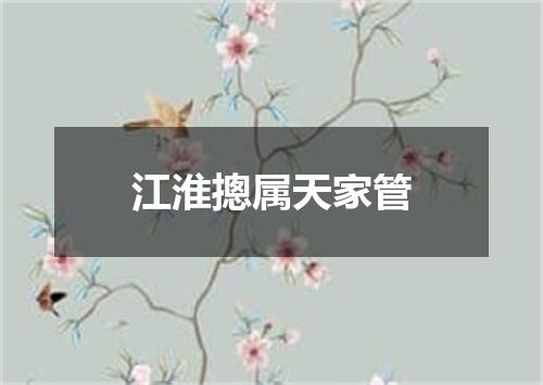 江淮摠属天家管