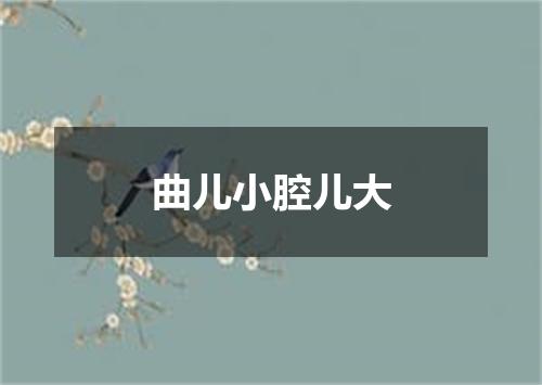 曲儿小腔儿大