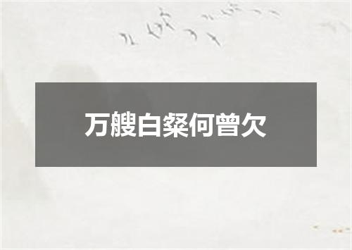 万艘白粲何曾欠