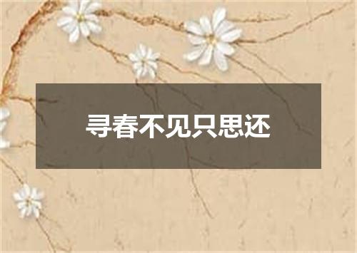寻春不见只思还