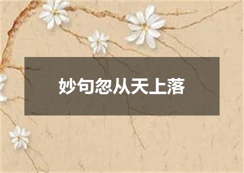 妙句忽从天上落