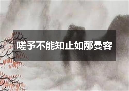 嗟予不能知止如邴曼容