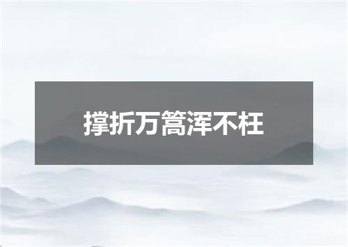 撑折万篙浑不枉
