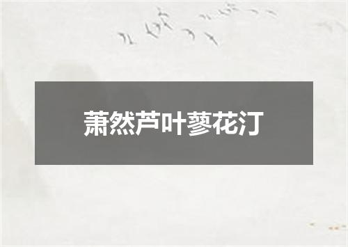 萧然芦叶蓼花汀