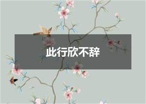此行欣不辞