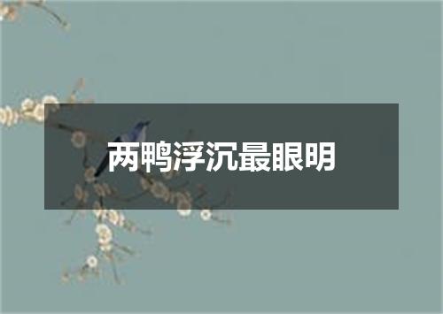 两鸭浮沉最眼明