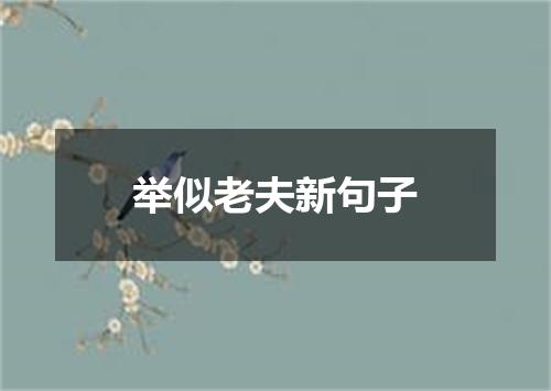 举似老夫新句子