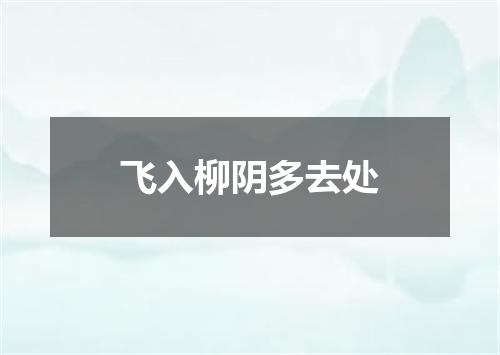 飞入柳阴多去处