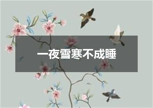 一夜雪寒不成睡