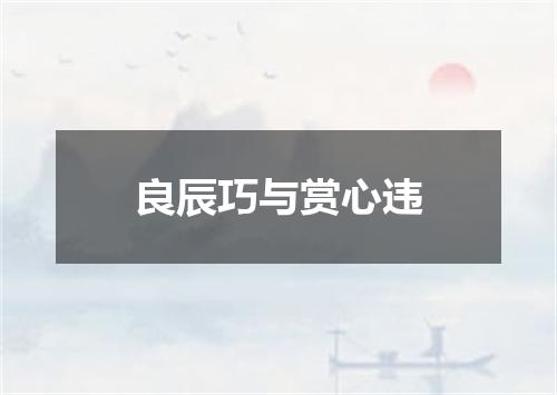 良辰巧与赏心违