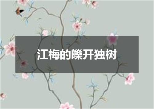 江梅的皪开独树
