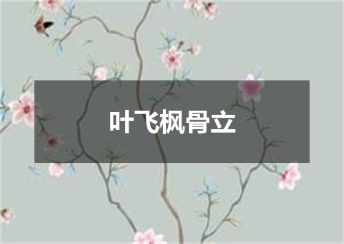 叶飞枫骨立