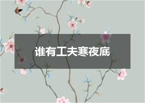 谁有工夫寒夜底