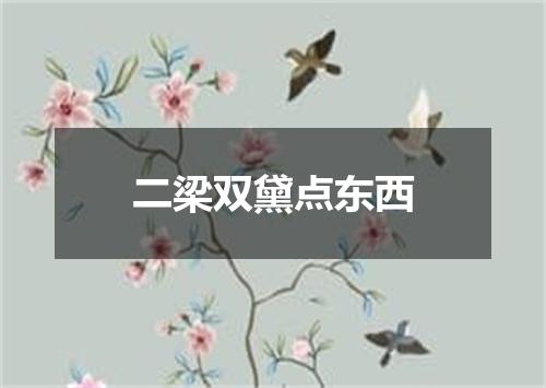 二梁双黛点东西