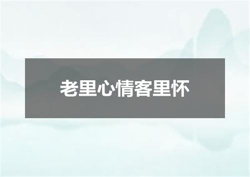 老里心情客里怀