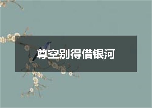 尊空别得借银河