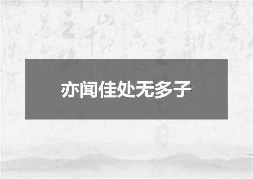 亦闻佳处无多子