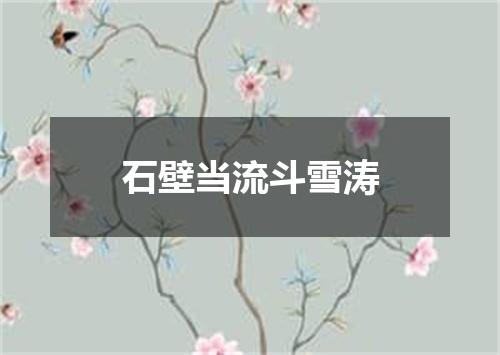 石壁当流斗雪涛