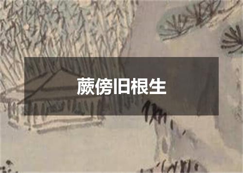 蕨傍旧根生