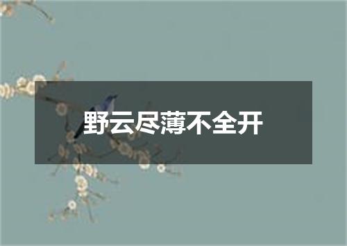 野云尽薄不全开